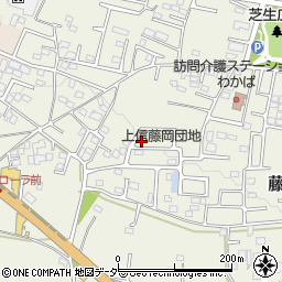 群馬県藤岡市藤岡2006-28周辺の地図