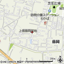 群馬県藤岡市藤岡2006-22周辺の地図