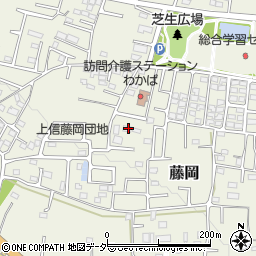 群馬県藤岡市藤岡1984-2周辺の地図