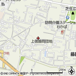 群馬県藤岡市藤岡2006-18周辺の地図