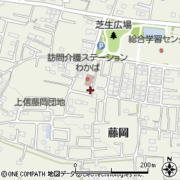 群馬県藤岡市藤岡1984-4周辺の地図