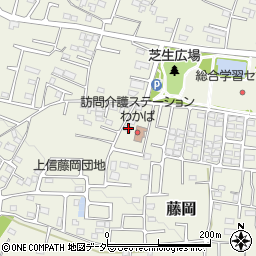 群馬県藤岡市藤岡1985-2周辺の地図