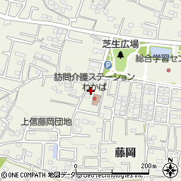 群馬県藤岡市藤岡1985-5周辺の地図