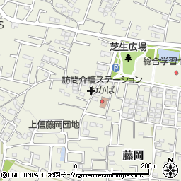 群馬県藤岡市藤岡2002-1周辺の地図