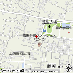 群馬県藤岡市藤岡2002-5周辺の地図