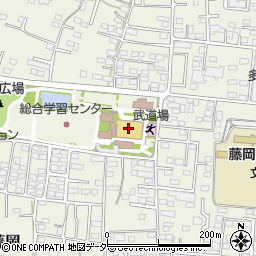 藤岡市総合学習センター体育館周辺の地図