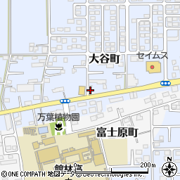 群馬県館林市大谷町874周辺の地図