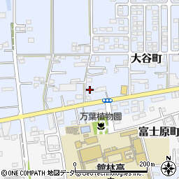 群馬県館林市大谷町884周辺の地図