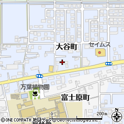 群馬県館林市大谷町873周辺の地図