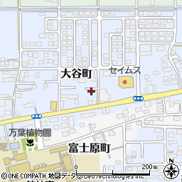 群馬県館林市大谷町869周辺の地図