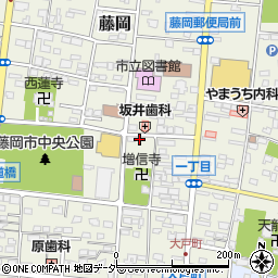 群馬県藤岡市藤岡46周辺の地図