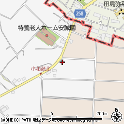 埼玉県本庄市小和瀬1829-3周辺の地図
