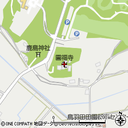 圓福寺周辺の地図