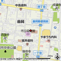 群馬県藤岡市藤岡50-3周辺の地図