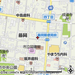 群馬県藤岡市藤岡61-3周辺の地図