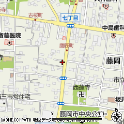 群馬県藤岡市藤岡156-8周辺の地図