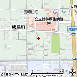群馬県館林市成島町252-3周辺の地図