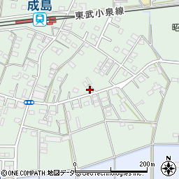 群馬県館林市成島町696-1周辺の地図