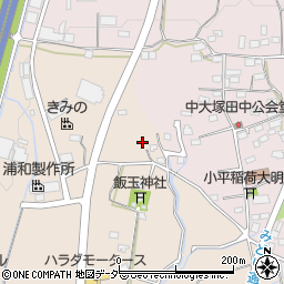 群馬県藤岡市上大塚1384周辺の地図