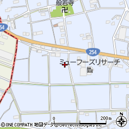 群馬県藤岡市白石2645-2周辺の地図