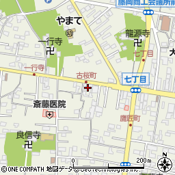 群馬県藤岡市藤岡179-7周辺の地図