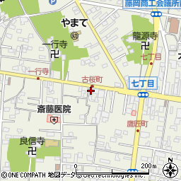 群馬県藤岡市藤岡179-5周辺の地図