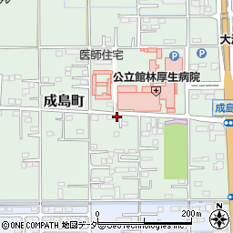 群馬県館林市成島町252-4周辺の地図