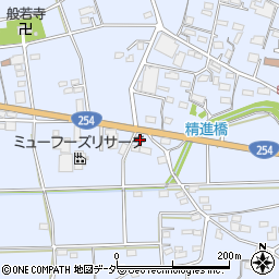 群馬県藤岡市白石2623周辺の地図