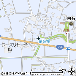 群馬県藤岡市白石800-5周辺の地図