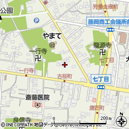 群馬県藤岡市藤岡251-3周辺の地図