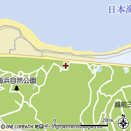 福井県坂井市三国町安島51周辺の地図