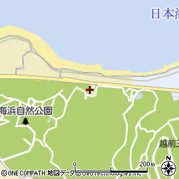 米田漁業水産部周辺の地図