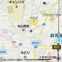 群馬県藤岡市藤岡839-7周辺の地図