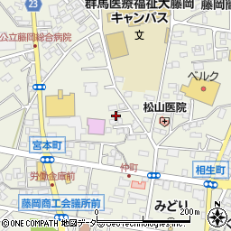 群馬県藤岡市藤岡900-30周辺の地図