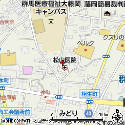 群馬県藤岡市藤岡804-15周辺の地図