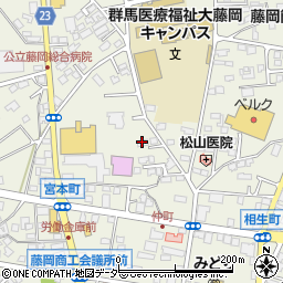 群馬県藤岡市藤岡900-28周辺の地図