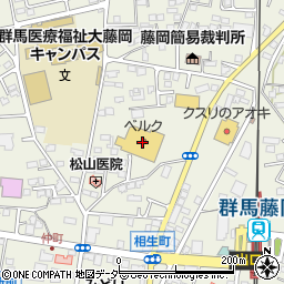 群馬県藤岡市藤岡804-26周辺の地図