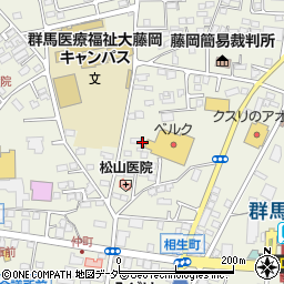 群馬県藤岡市藤岡804-25周辺の地図