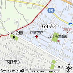 戸沢商店周辺の地図