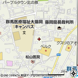 群馬県藤岡市藤岡808-1周辺の地図