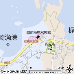 越前松島水族館周辺の地図