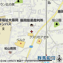 群馬県藤岡市藤岡812-19周辺の地図