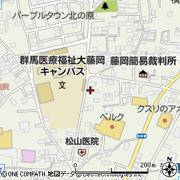 群馬県藤岡市藤岡809-14周辺の地図