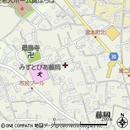 群馬県藤岡市藤岡1043-17周辺の地図