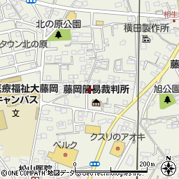 群馬県藤岡市藤岡813-8周辺の地図