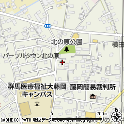 群馬県藤岡市藤岡739-32周辺の地図