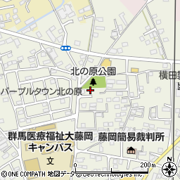 群馬県藤岡市藤岡739周辺の地図