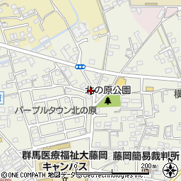 群馬県藤岡市藤岡766-6周辺の地図