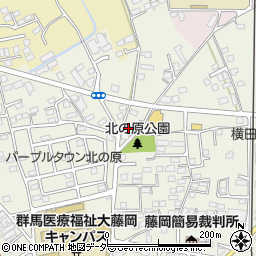 群馬県藤岡市藤岡762-1周辺の地図