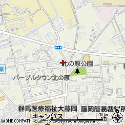 群馬県藤岡市藤岡766-3周辺の地図